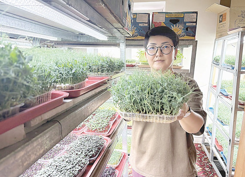 ميكروجەلەكتى تابىس ەتكەن