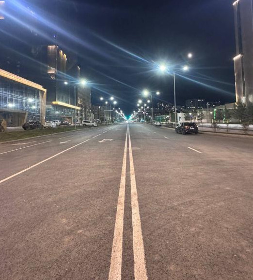 استانادا ت.رىسقۇلوۆ كوشەسىنىڭ جاڭا بولىگى اشىلدى