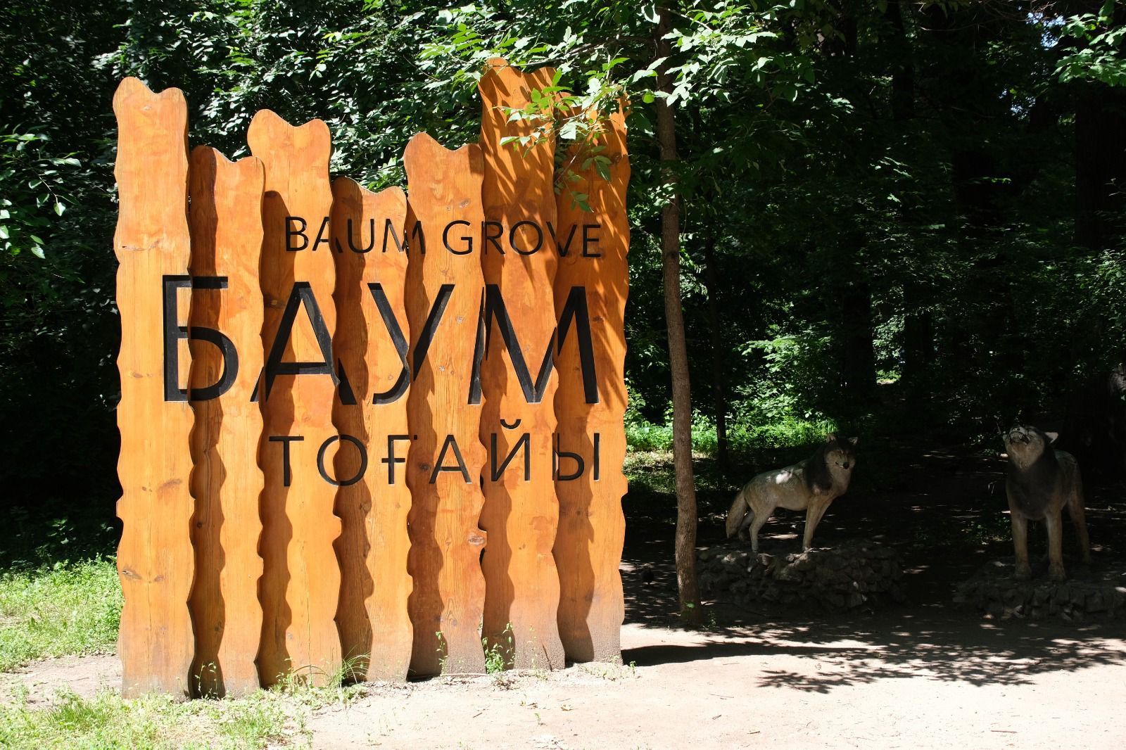 باۋم توعايىندا بىردە-ءبىر اعاش كەسىلمەيدى