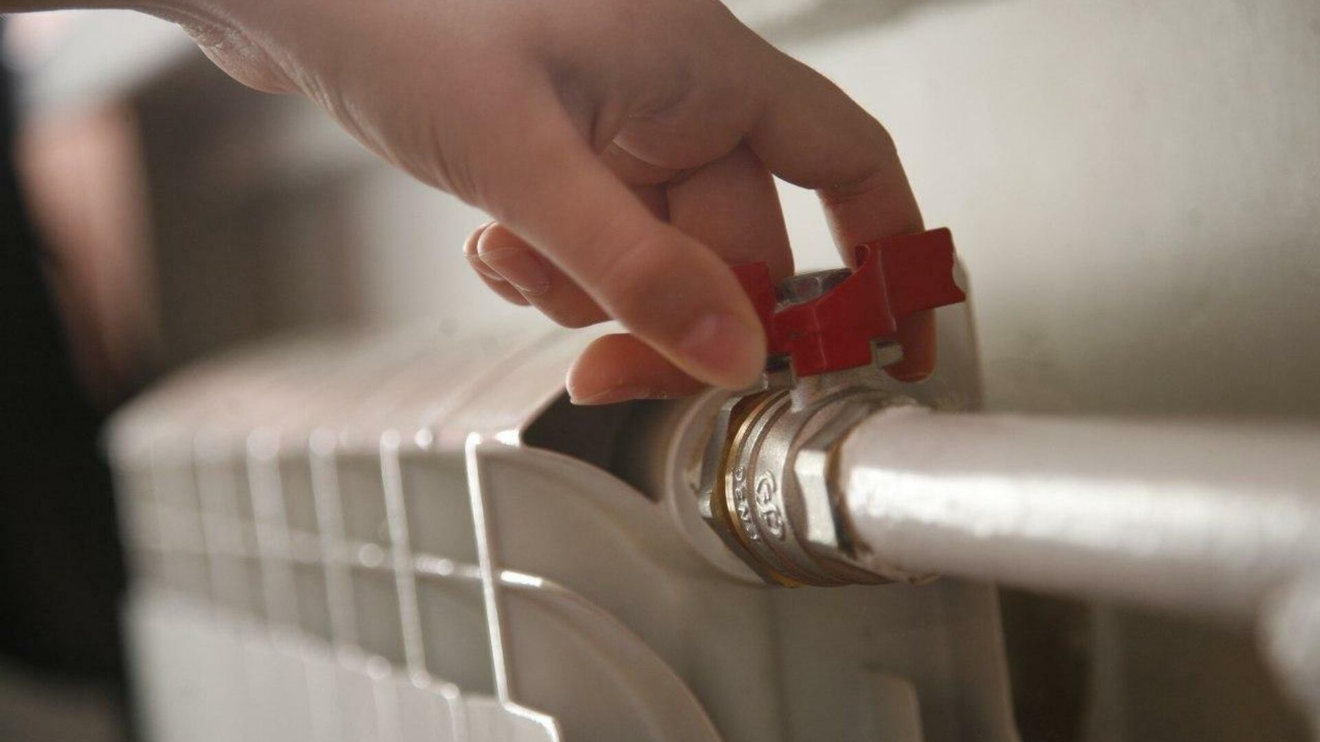 تالدىقورعان قالاسىنا 7 قازاندا جىلۋ بەرىلەدى