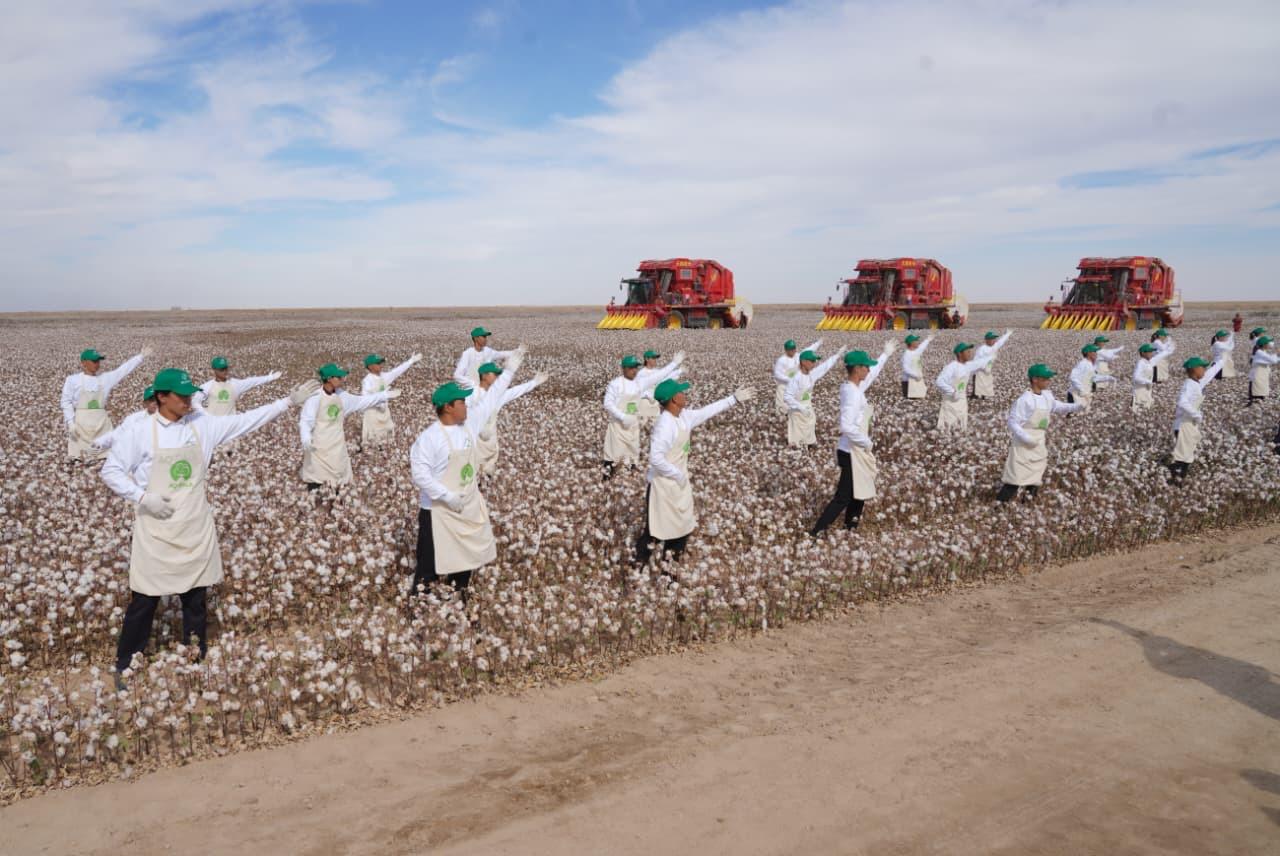 تۇركىستان وبلىسىندا ماقتاشىلاردىڭ اۋقىمدى فەستيۆالى ءوتتى