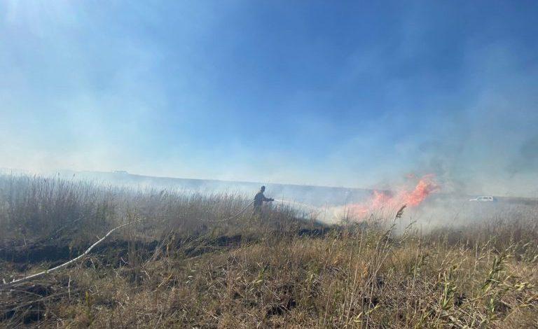 اتىراۋ وبلىسىندا 30 گەكتاردا قامىس قوپاسى بىقسىپ جاتىر