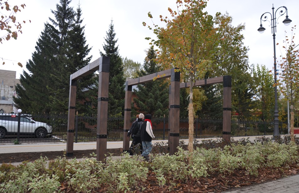 كوكشەدەگى «كوك شالعىن»