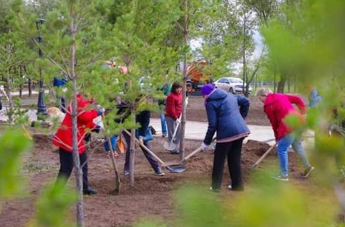 استانادا جالپىقالالىق سەنبىلىك وتەدى