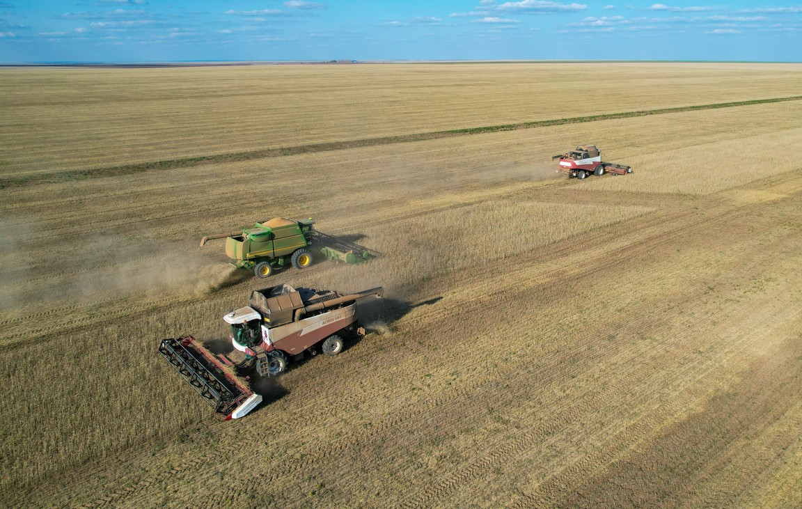 ەگىنجايداعى ەڭبەك ىرعاعى