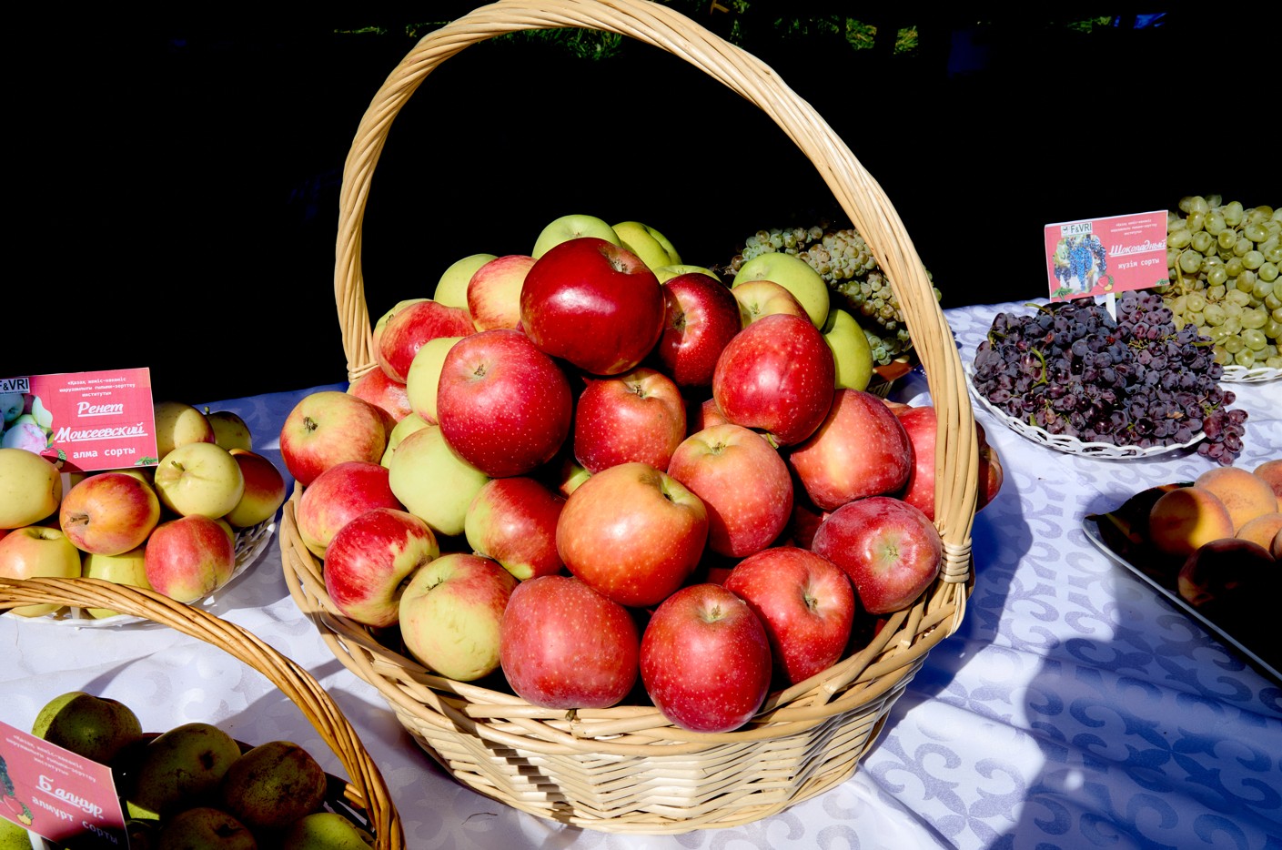 اپورتتىڭ ءباسى ارتادى