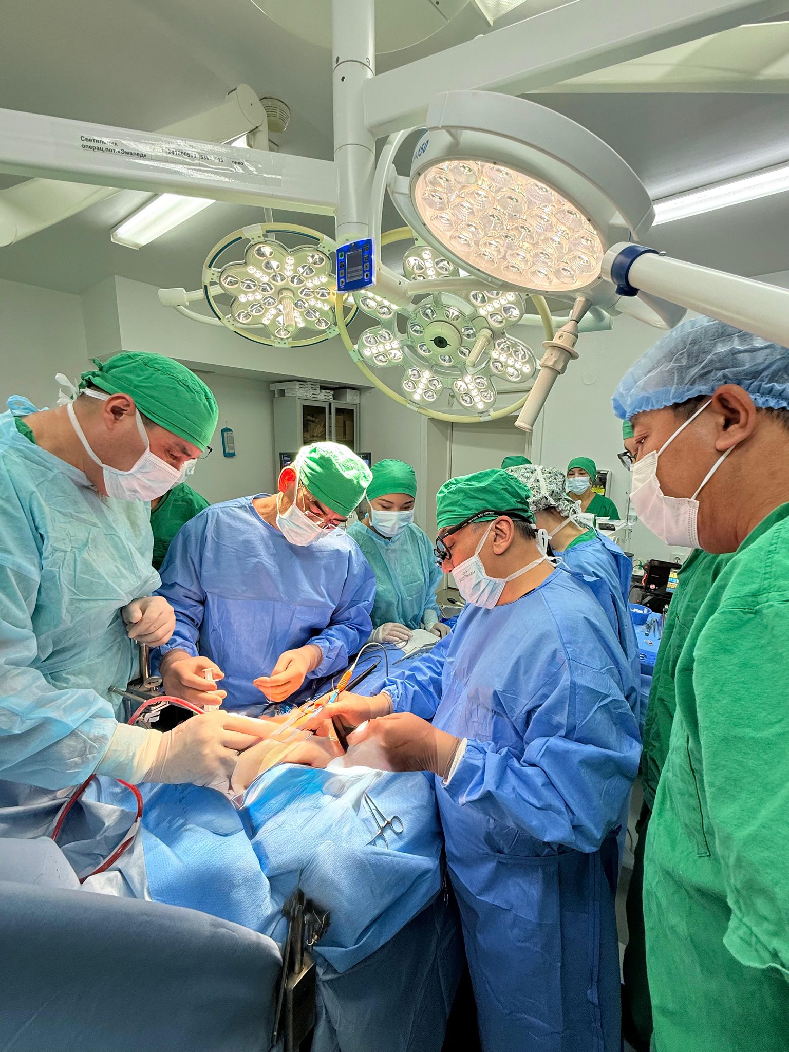 تۇركىستان وبلىسىندا  ۇلى اناسىنا دونور بولدى