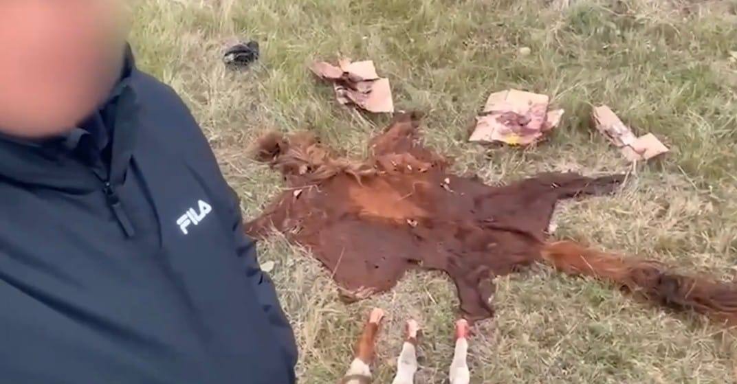 ەلوردا ماڭىندا مال ۇرلىعى وقيعاسى اشكەرەلەندى