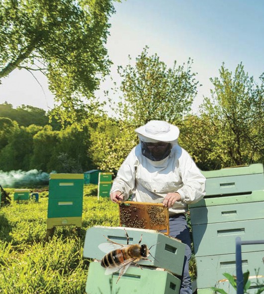 سالاعا سالعىرت قاراماساق يگى