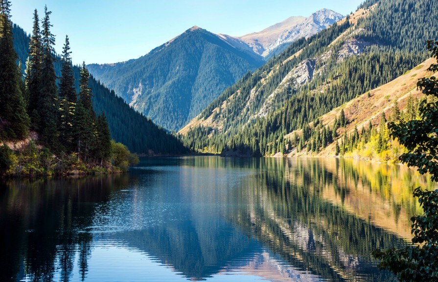 سۇرانىسقا يە ۇلتتىق پاركتەر