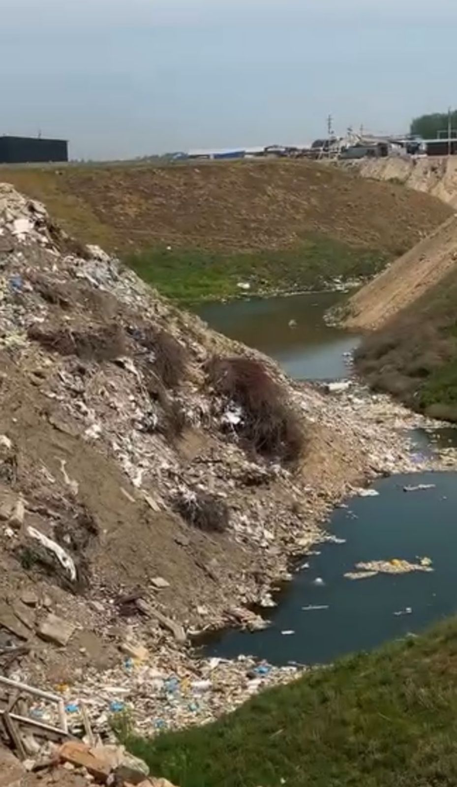 تەرەڭقارا وزەنىنىڭ بويىنداعى جەرلەر رەكۋلتيۆاتسيالانادى: ءىس سوتقا جولداندى