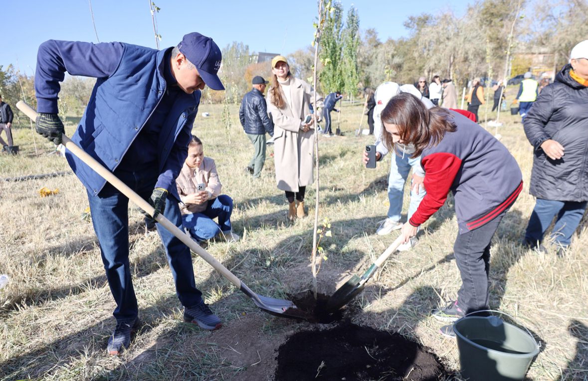  ۇلىتاۋ وبلىسىندا 3000-نان اسا كوشەت وتىرعىزىلدى