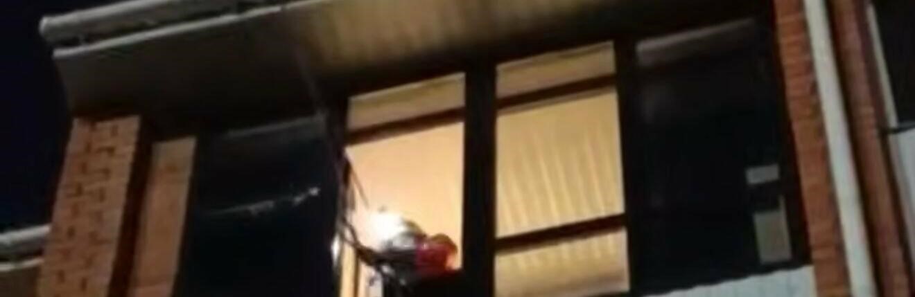 قيىن جاعدايدان قۇتقاردى