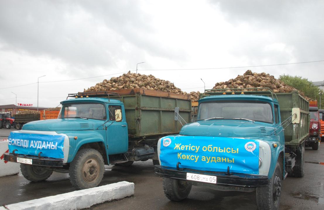 قانت قىزىلشاسىن قابىلداۋ باستالدى