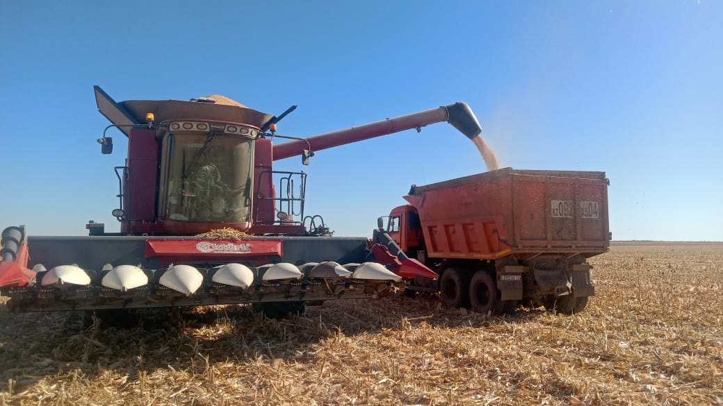 مارتوك اۋدانىندا جيىن-تەرىم اياقتالدى