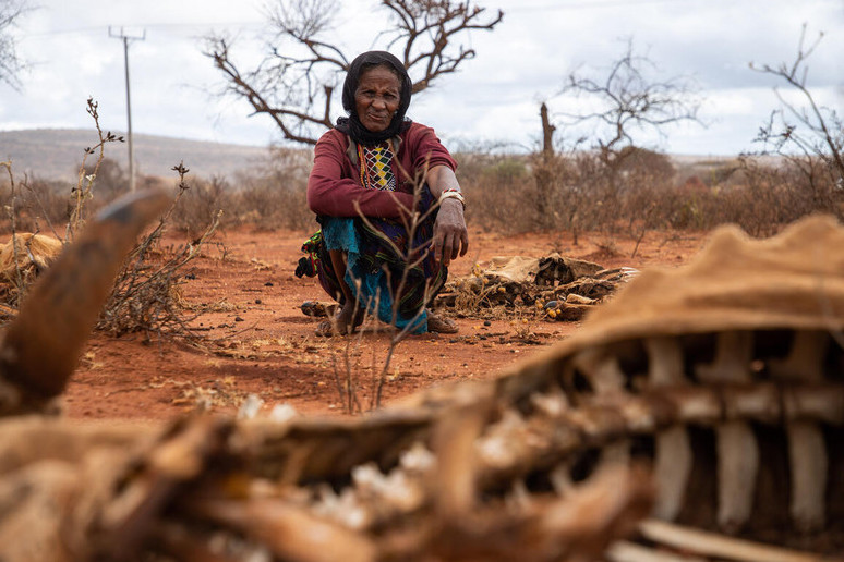 الەمدە اشتىق قاۋپى كۇشەيدى