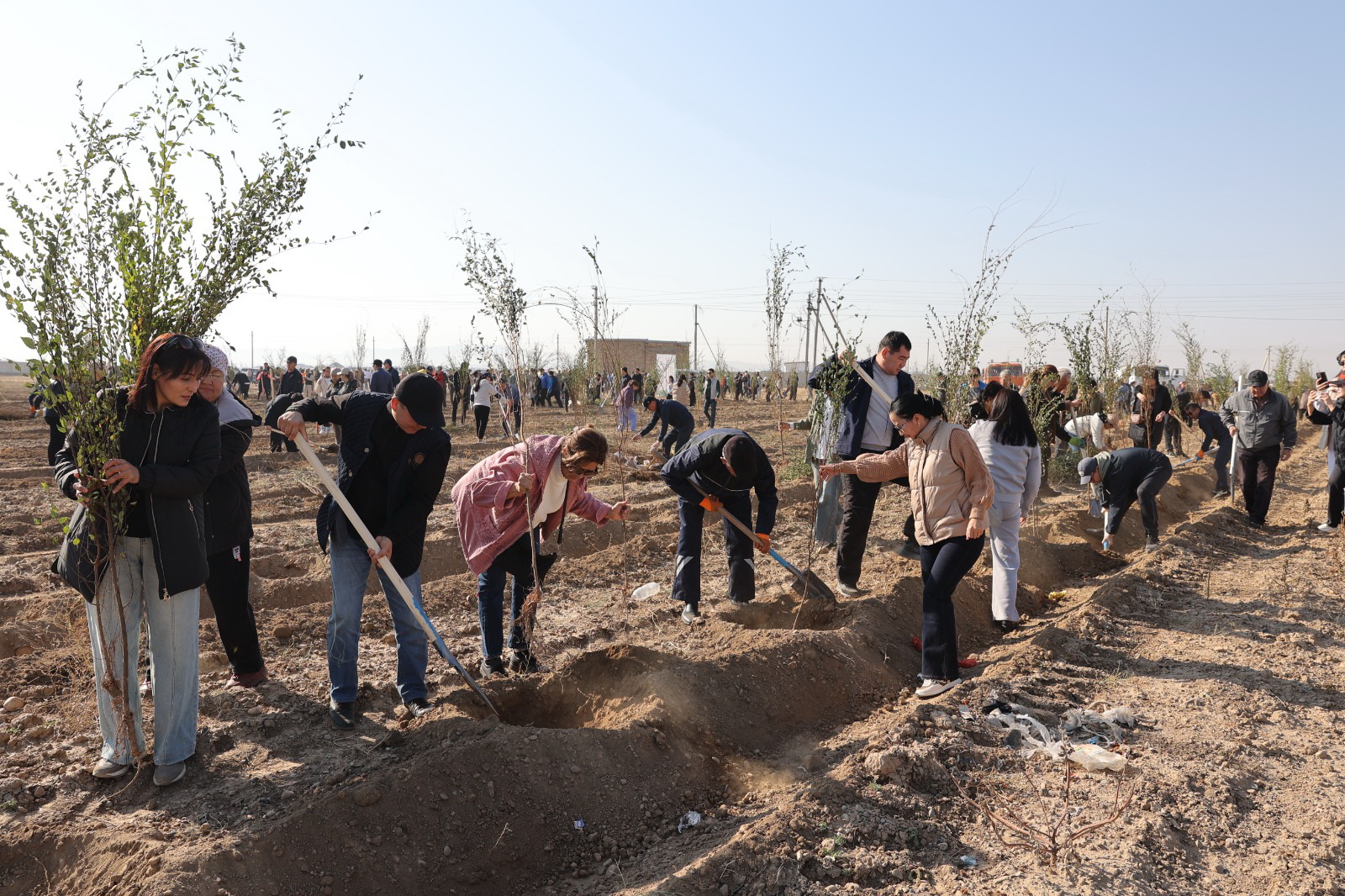 كونە تاراز كوركەيىپ كەلەدى