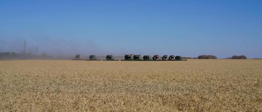 سقو-دا وراق ناۋقانى اياقتالۋعا جاقىن