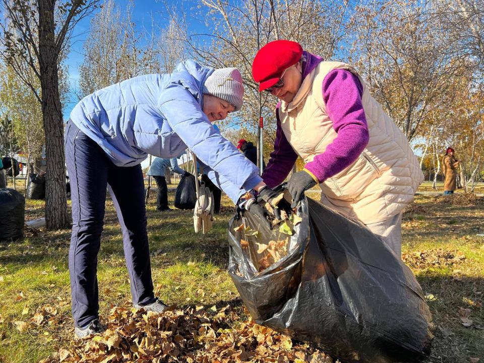 «تازا قازاقستان»: قحا مۇشەلەرى استاناداعى ساياباقتا شىرشا وتىرعىزدى