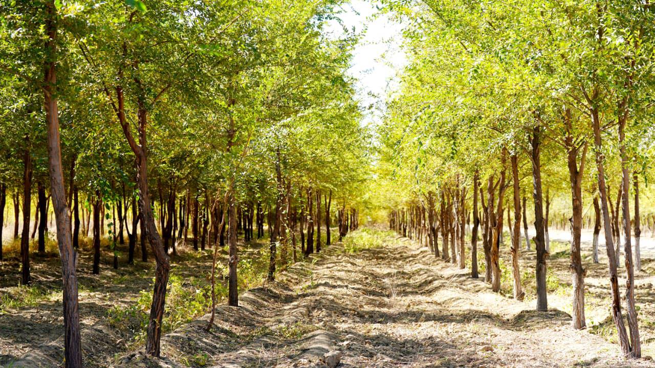 قازان ايىندا قازاقستان حالقى قانشا كۇن دەمالادى؟