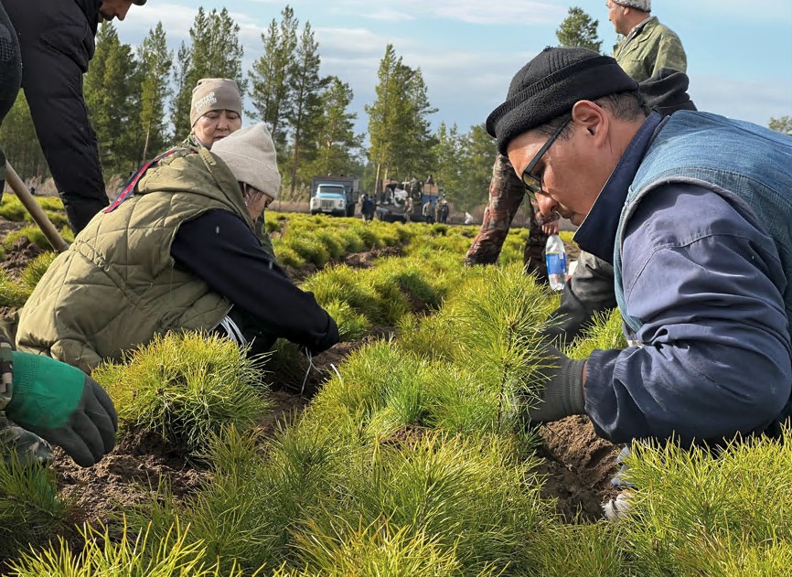 قاراعايدىڭ قاسيەتى بار