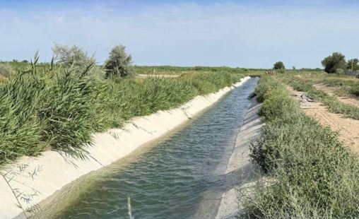 جەتىسۋدا سۋارمالى جەرلەردىڭ كولەمى ۇلعايادى