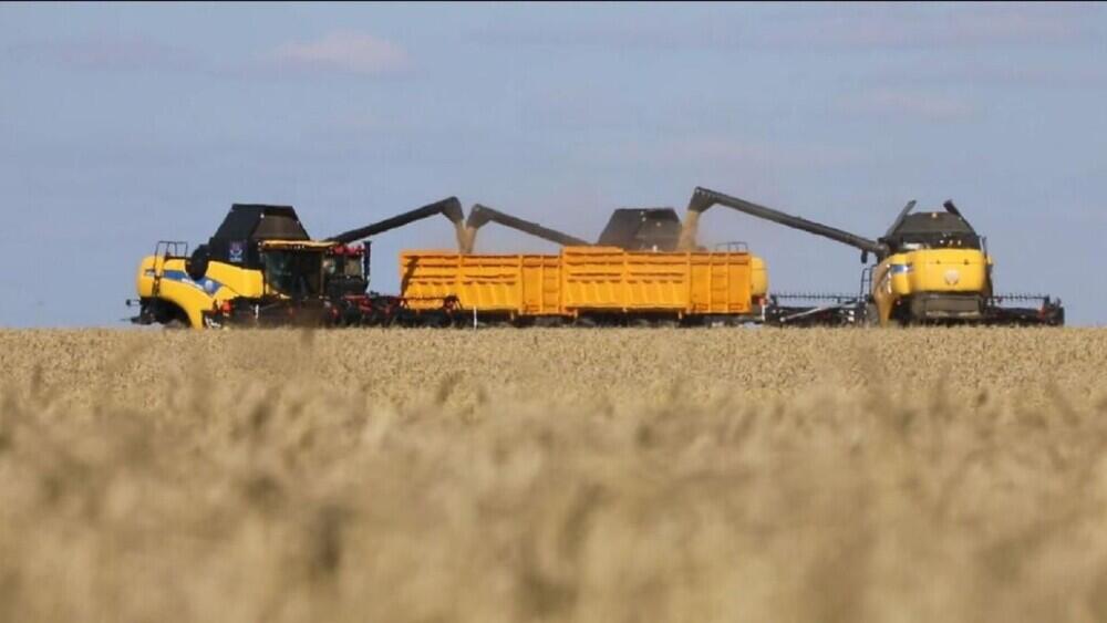 جيىن-تەرىم جالعاسىپ جاتىر