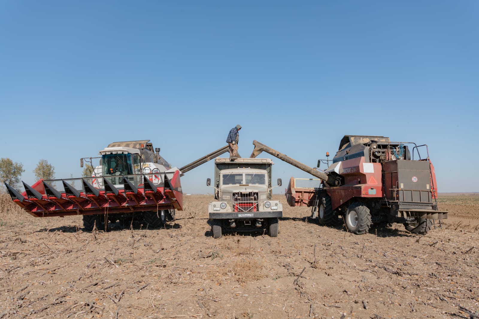 قارجىلاي قولداۋ تاپقان قوجالىقتار