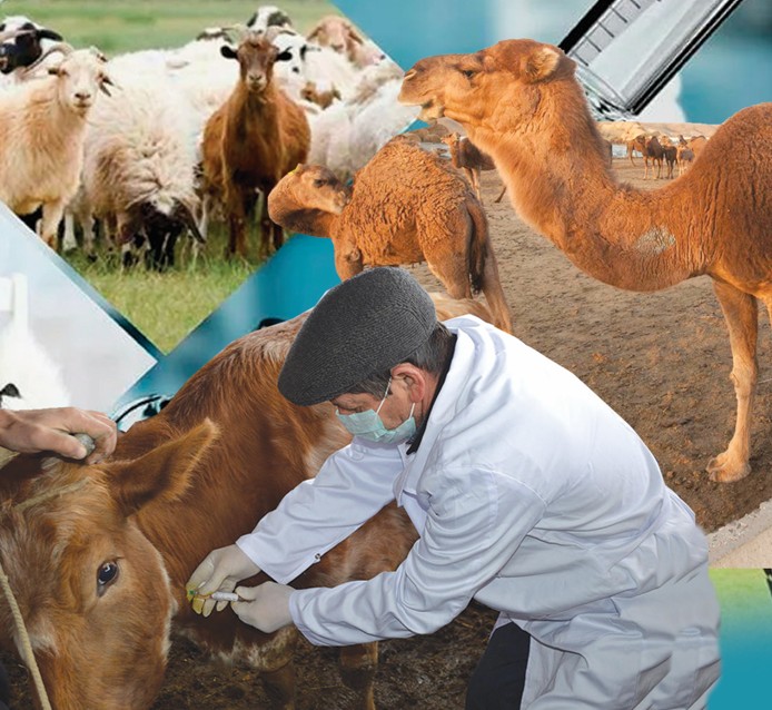 مال دارىگەرىنە دە مارتەبە كەرەك