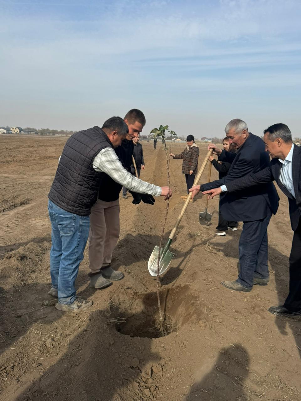 المالىق اۋىلى المالى باقتاعى 10 گەكتارعا اپورت كوشەتتەرى وتىرعىزىلدى