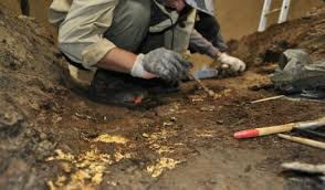 قازاقستاندا ارحەولوگيالىق جۇمىستاردىڭ بىرىڭعاي اقپاراتتىق جۇيەسى قۇرىلادى