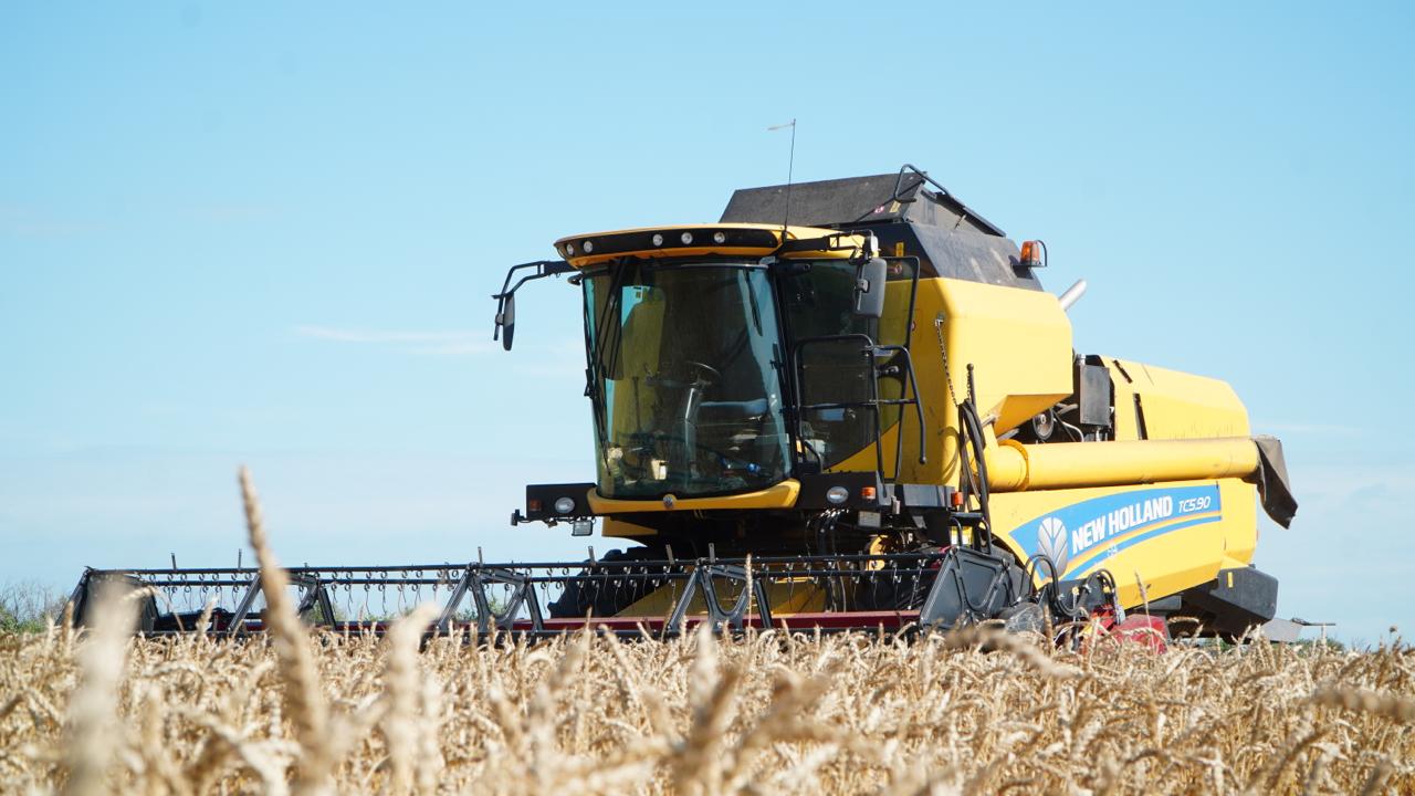 ەگىنجايداعى ەرلىك