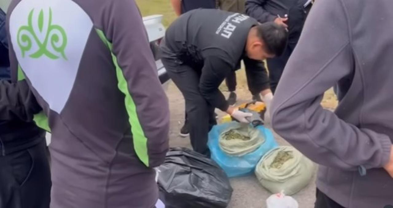 ماريحۋانا تاسىمالعاندار ۇستالدى