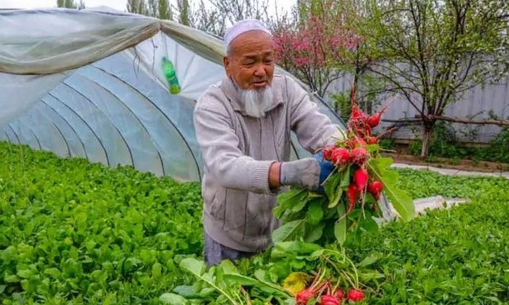 امبەباپ شارۋا