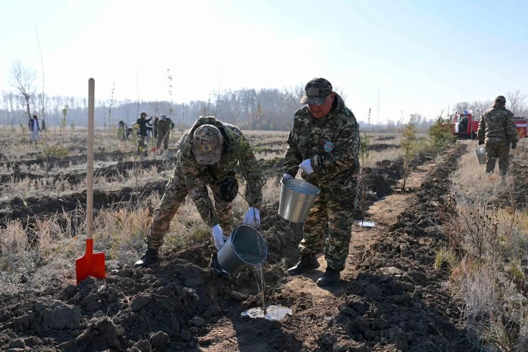 ورمان تۇقىمباعى اشىلدى