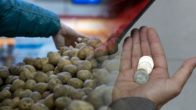 كارتوپ تاپشىلىعى: باعا تاعى دا قىسپاققا الا ما؟