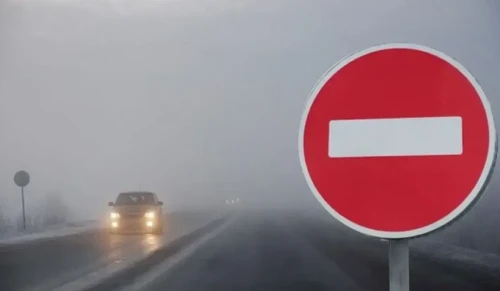 5 قاراشادا قاي تاسجولداردا كولىك قوزعالىسى شەكتەلەدى؟