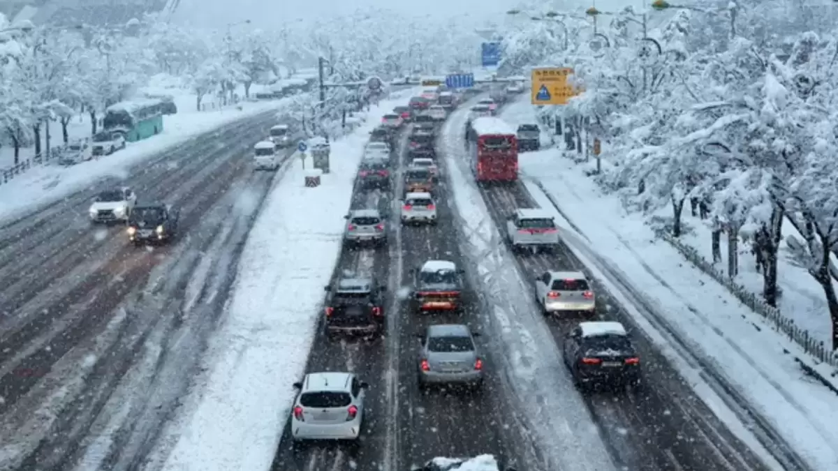 اقمولا وبلىسىندا كولىك قوزعالىسىنىڭ جىلدامدىعىنا شەكتەۋ ەنگىزىلدى