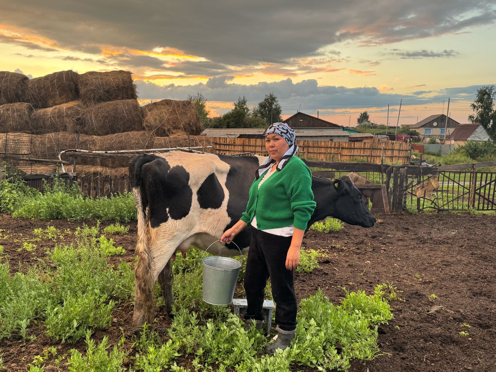 مال ۇستاعاننىڭ تابىسى نەگە ماردىمسىز؟