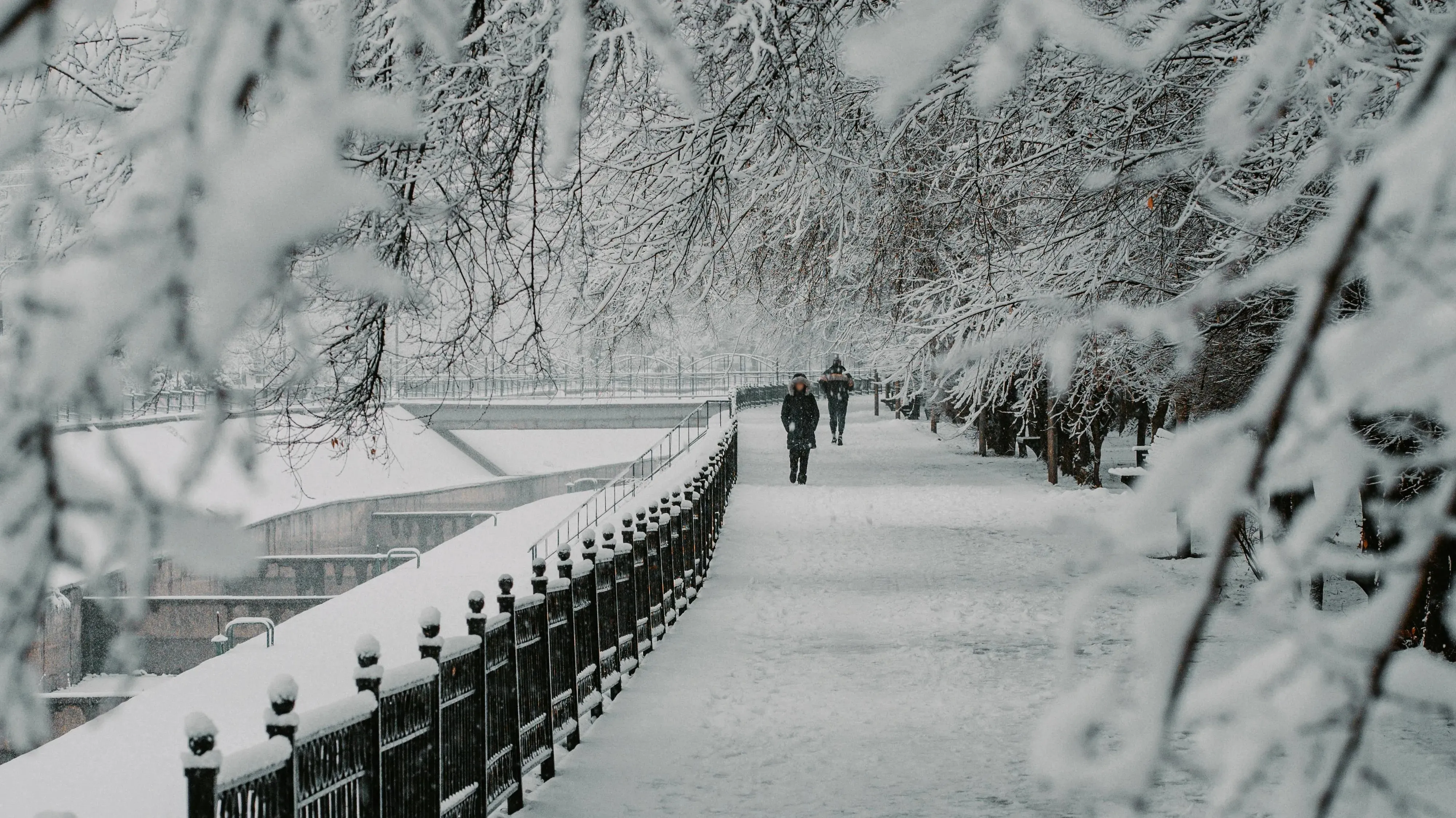 الداعى كۇندەرى استانانى بوران, ال الماتىنى تۇمان باسادى