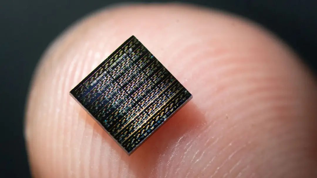 مي سەكىلدى جۇمىس ىستەيدى