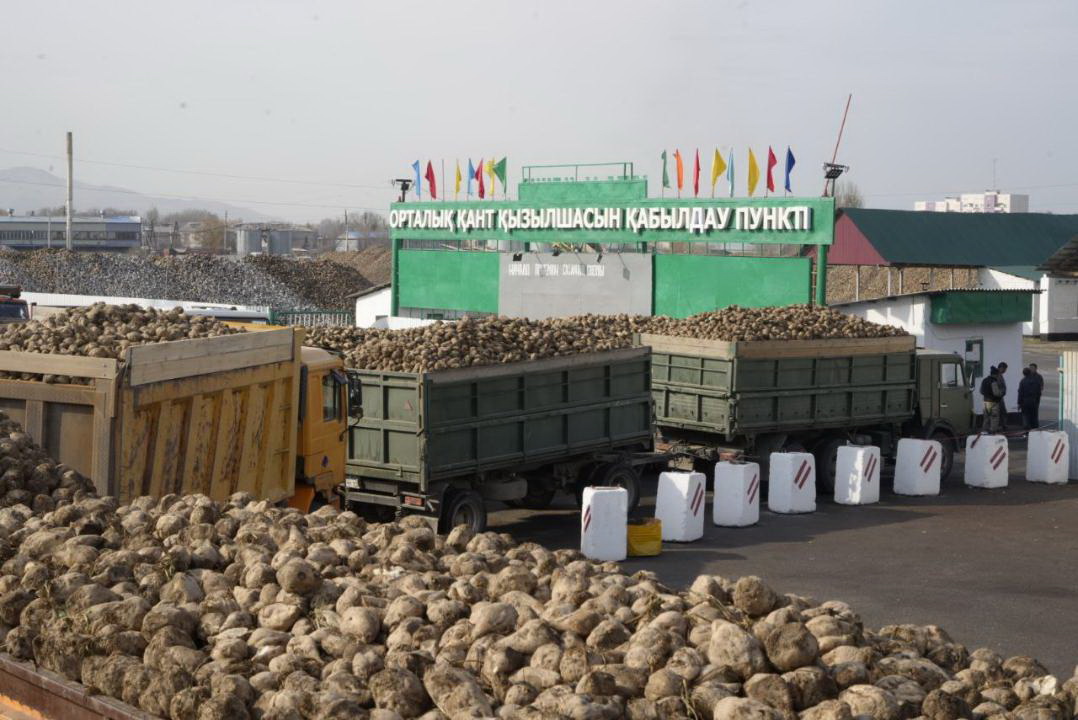 ايماقتىڭ اگرويندۋستريالىق تىرەگى