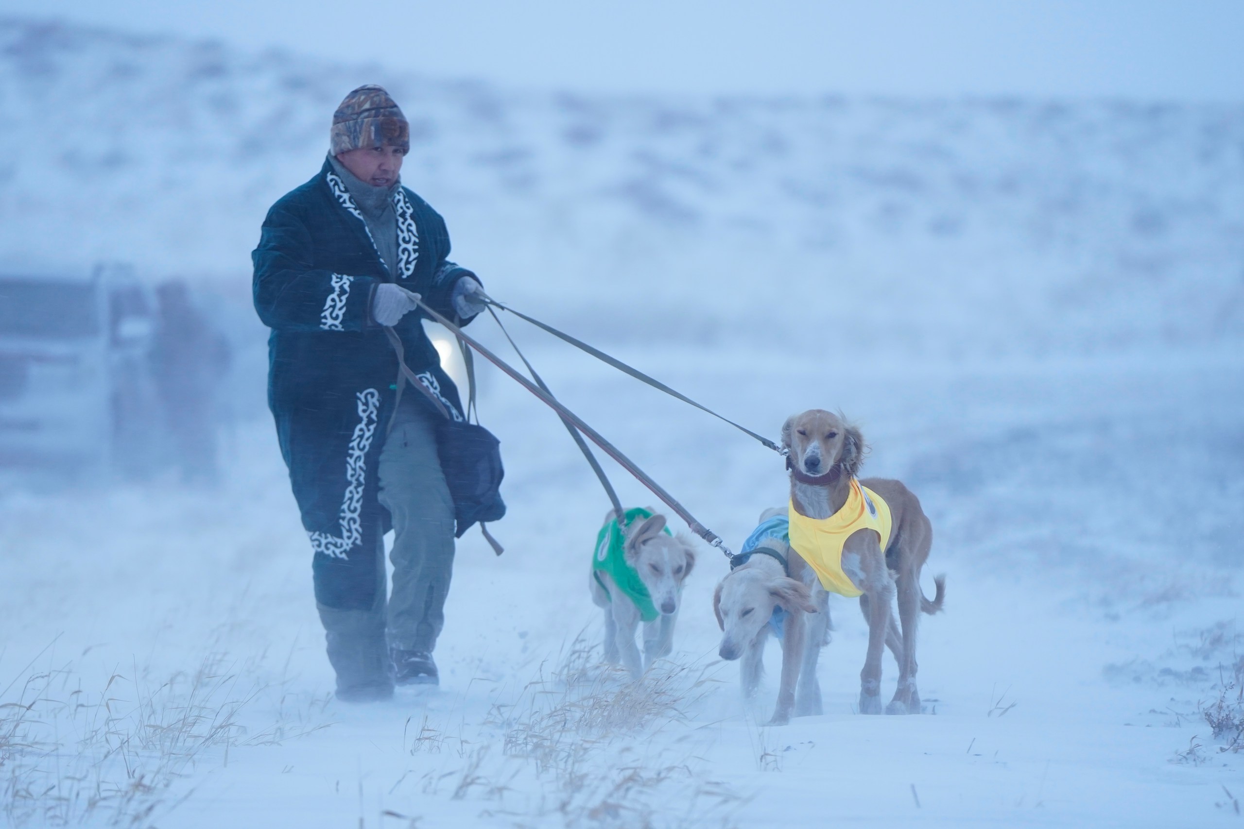 قازاقى تازى تۇقىمىنا ارنالعان اڭشىلىق سىناقتار ءوتتى