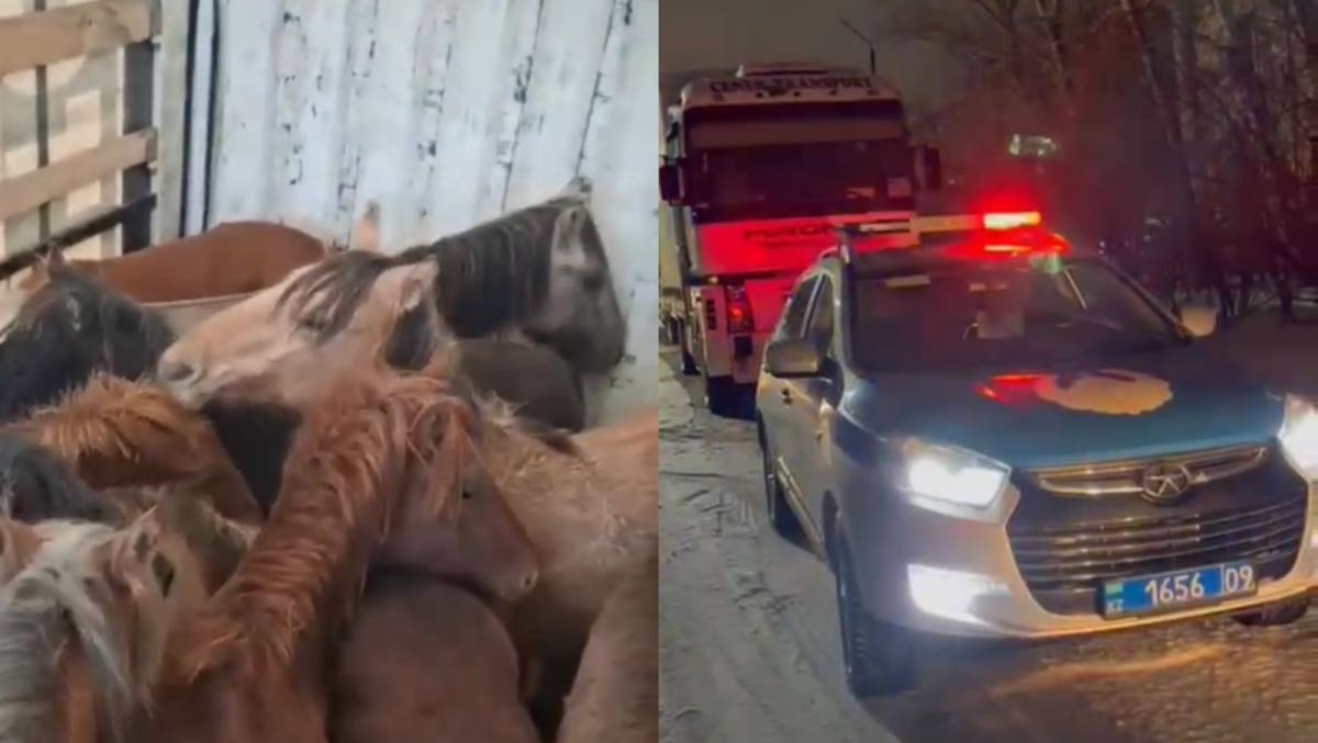 جىلقى ۇرلاعاندار قاراعاندىدا ۇستالدى