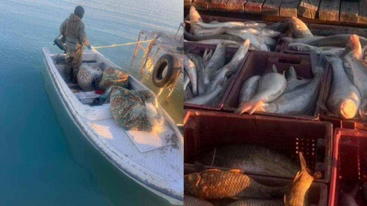 بالقاش كولىندە براكونەرلەر قولعا ءتۇستى