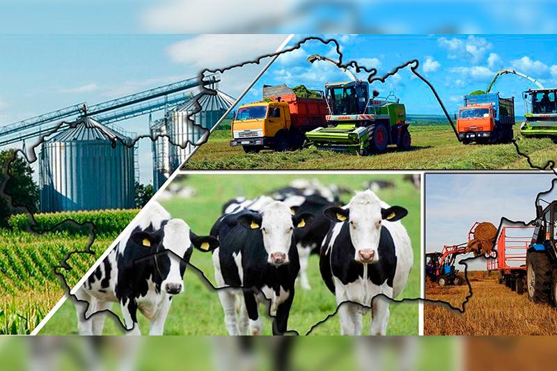 قاسىم-جومارت توقاەۆ: مال شارۋاشىلىعىنىڭ الەۋەتىن بارىنشا پايدالانۋ قاجەت