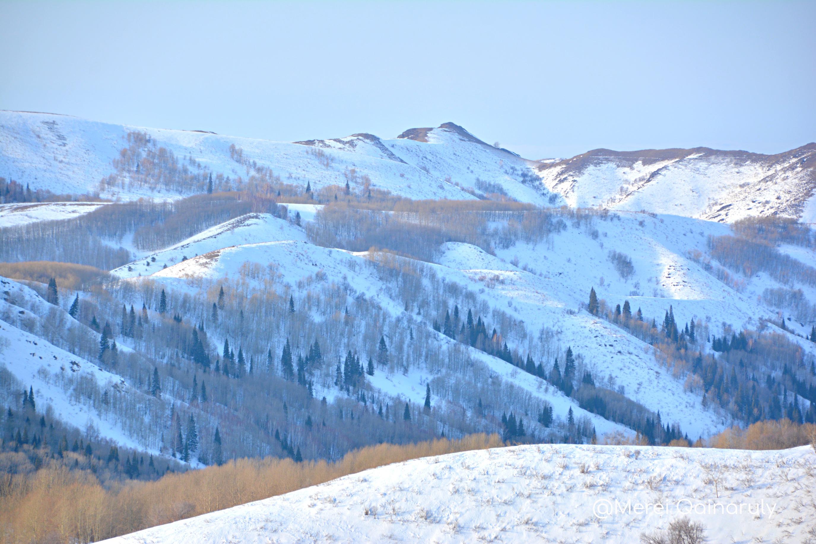 ريددەردە جىل بويى جۇمىس ىستەيتىن دەمالىس كەشەنى اشىلادى