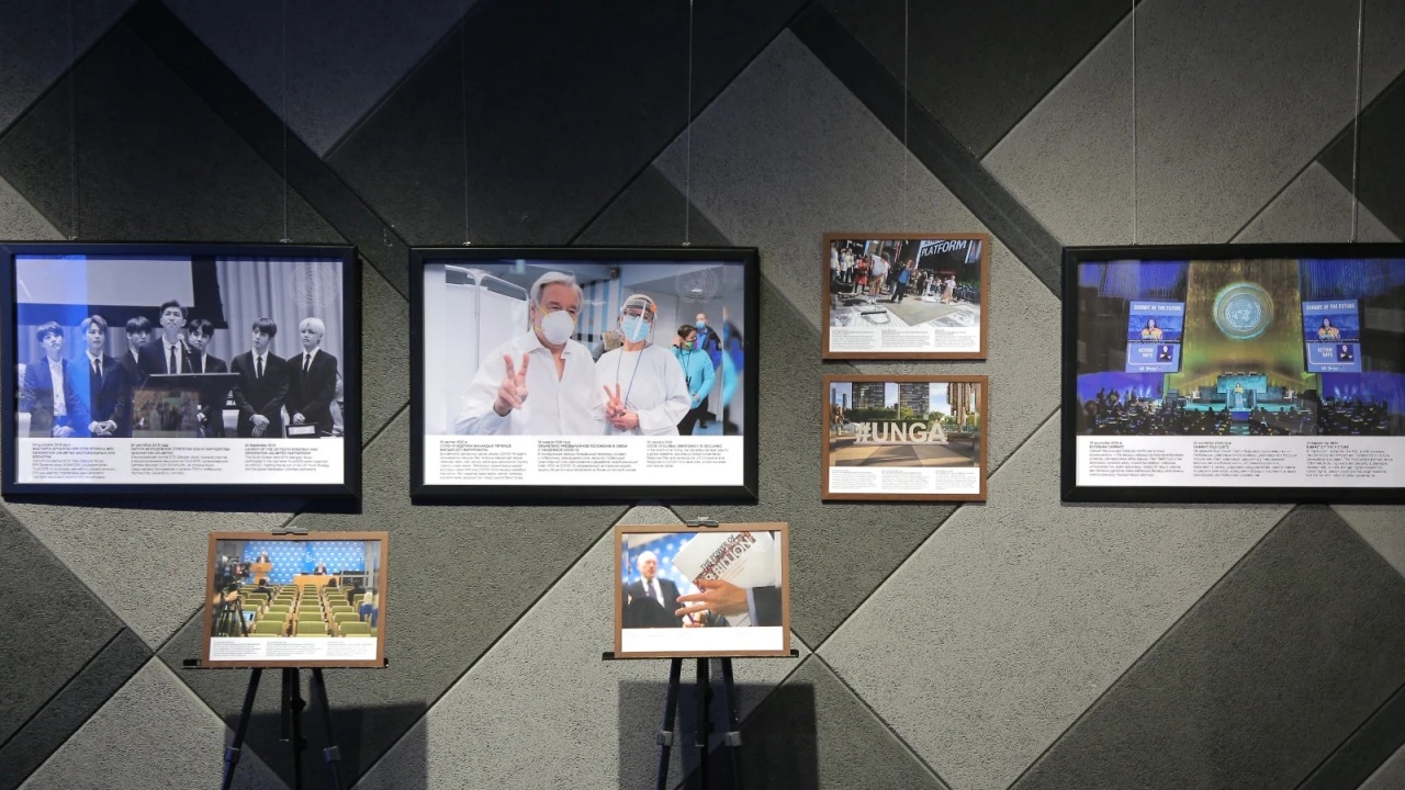 ىرگەلى ۇيىم شەجىرەسى