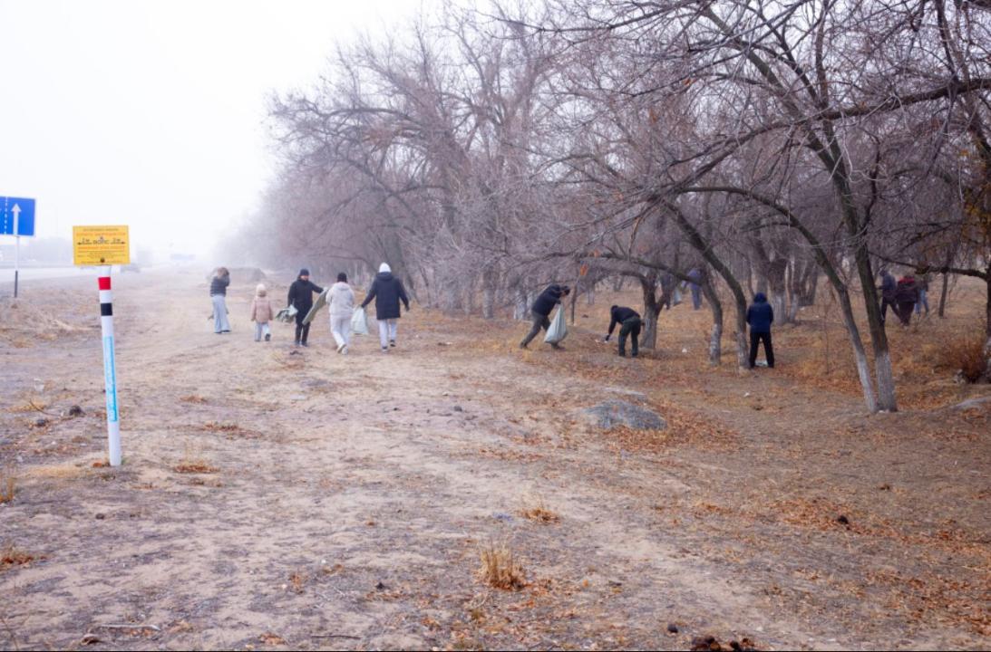 الماتى – قوناەۆ تاس جولىنىڭ بويى قوقىستان تازارتىلدى