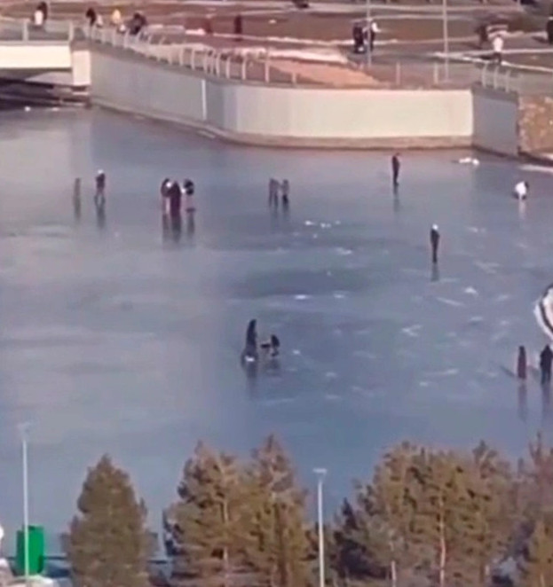 ەسكەرتۋدى ەلەمەي مە: استانالىقتار بوتانيكالىق باقتاعى جۇقا مۇزدىڭ ۇستىندە سەرۋەندەپ ءجۇر